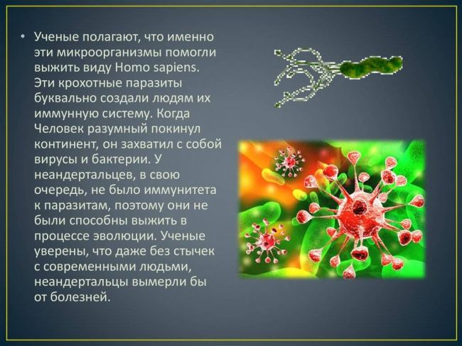 Царство одноклеточных организмов