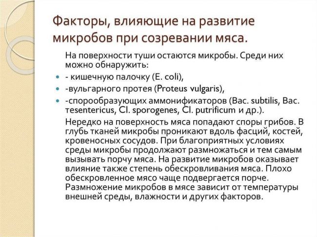 Вредные бактерии – возбудители болезней человека