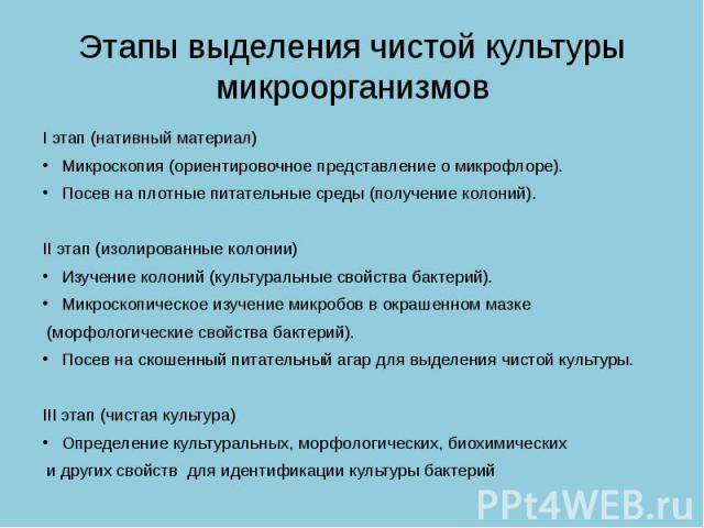 Как увидеть невидимое, или как вырастить чистую культуру бактерий