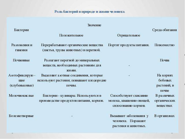 Доклад на тему болезнетворные бактерии сообщение 5, 6, 7 класс (описание для детей)