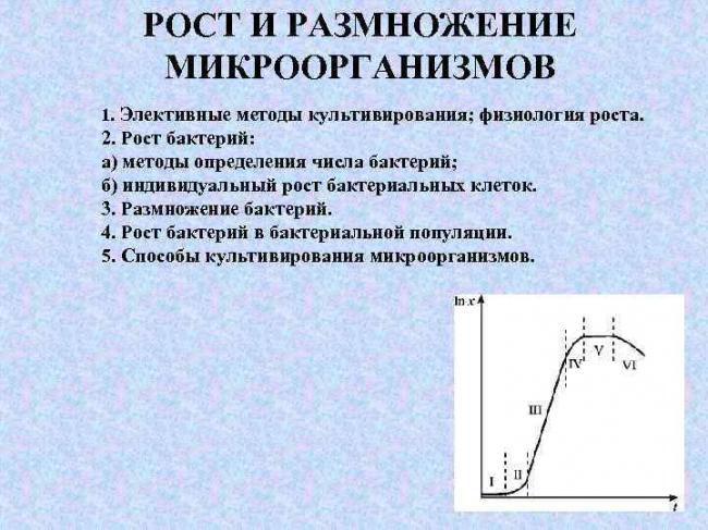 В чем заключаются особенности, строение и размножение бактерий
