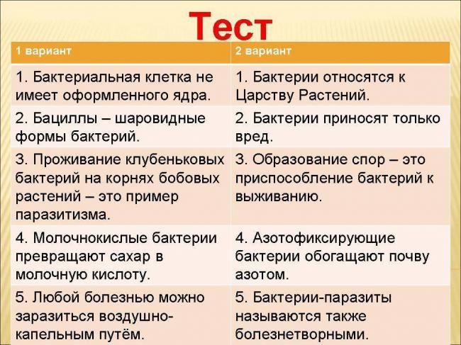 Какие из болезнетворных простейших представляют наибольшую опасность для человека
