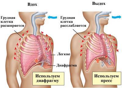 Дыхательная гимнастика по методу бутейко упражнения