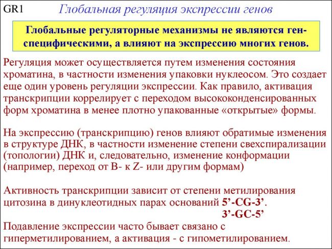 Что такое экспрессия генов