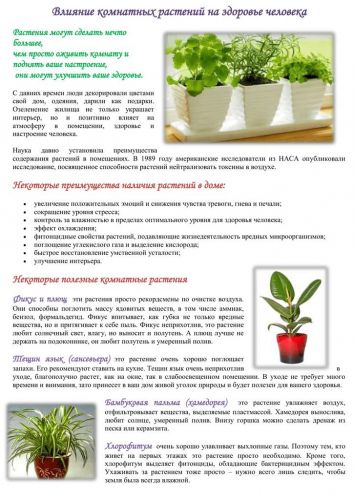 Болезнетворные бактерии: на коже, во рту, в кишечнике. фото грибков и бактерий