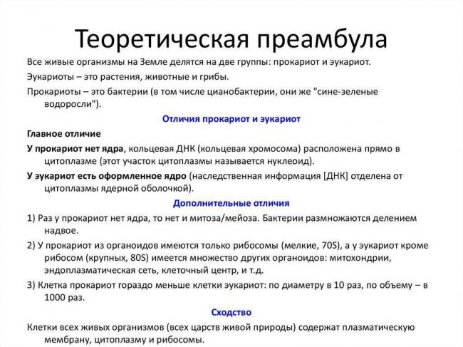 Чего не имеет бактериальная клетка