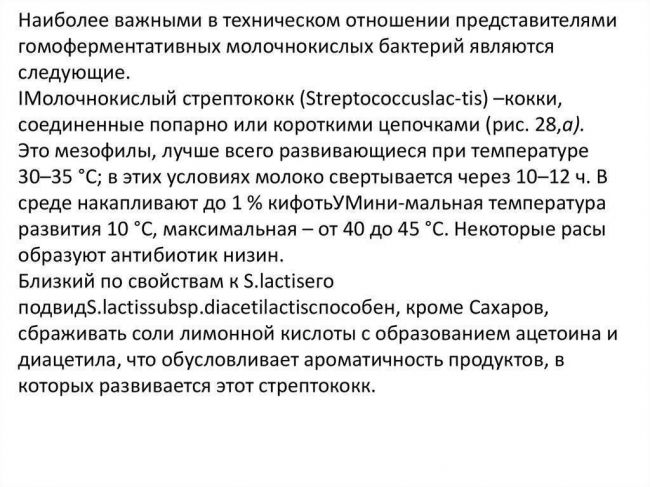 Польза и вред молочнокислых бактерий