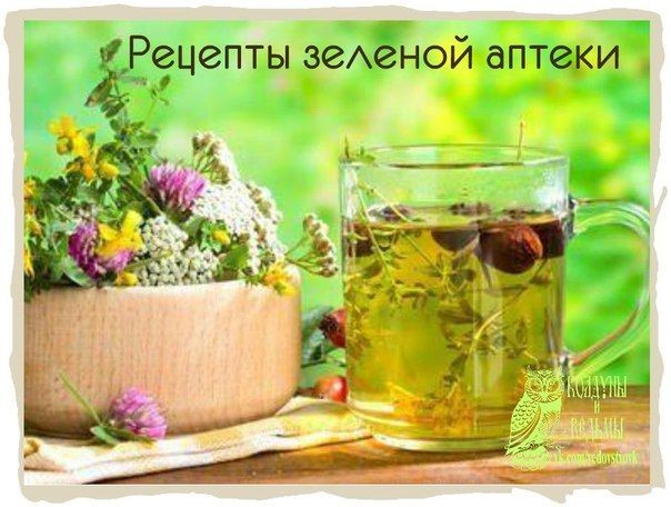 Сосновые почки от кашля