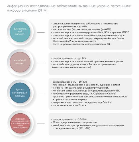 Кокковая флора (кокки) в мазке у женщин: причины, симптомы, лечение, препараты