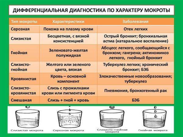 Мокрота: понятие, из чего состоит, виды и возможные цвета и диагностика по ним, обзор заболеваний