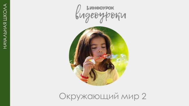 Царства живой природы