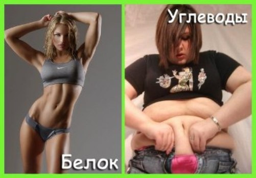 Диета abc