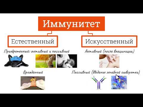 Как приобретается пассивный и активный иммунитет у человека