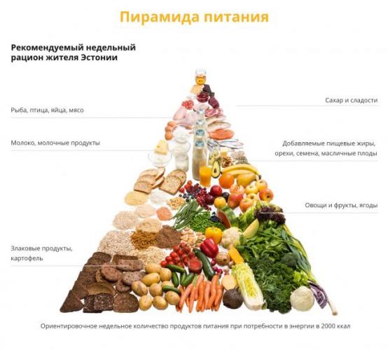 Список продуктов для правильного питания и похудения
