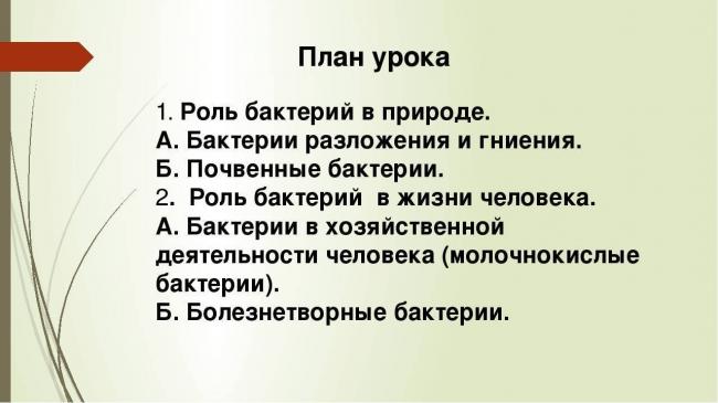 Доклад болезнетворные бактерии 5 класс по биологии сообщение