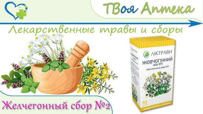 Желчегонный сбор – инструкция по применению, аналоги, цена, отзывы
