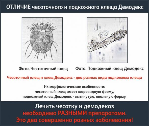 Крем демазол