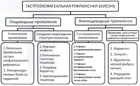 Гастроэзофагеальный рефлюкс: симптомы, лечение и диета