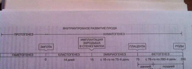 Субфебрильная температура у ребёнка после вирусной инфекции - температура 37 1 у взрослого - запись пользователя алиса (alisa1988) в сообществе здоровье - от трех до шести лет в категории вирусные инфекции - babyblog.ru