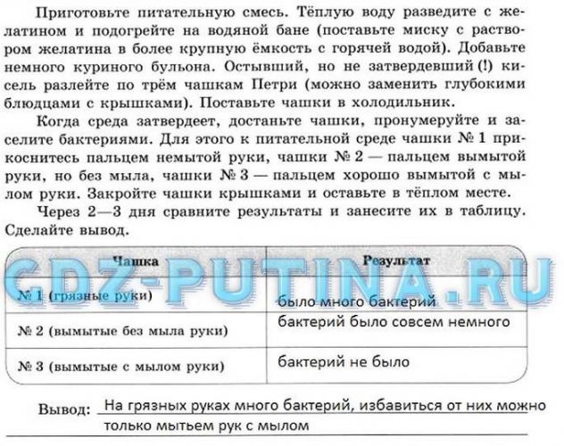 V международный конкурс научно-исследовательских и творческих работ учащихся
старт в науке
