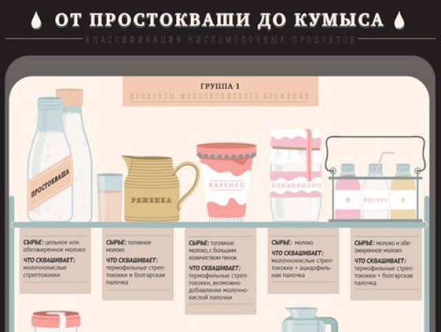 Полезные и не очень бактерии и вещества в продуктах питания :: инфониак