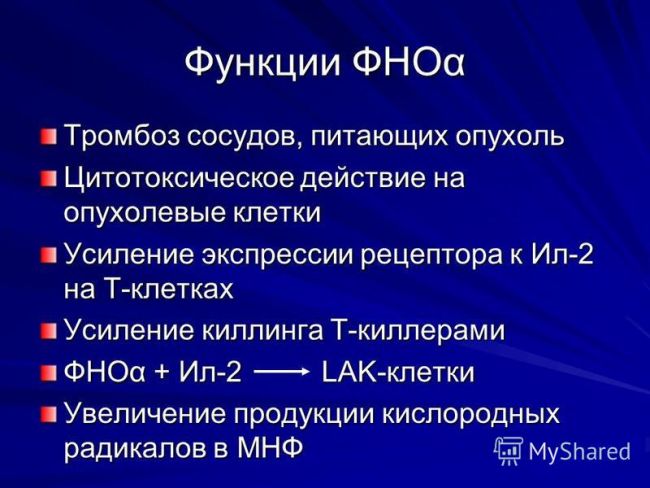 Неоплазма ²