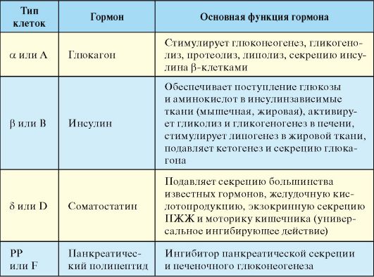 Что такое глюкагон, для чего нужен этот гормон, и за что он отвечает?
