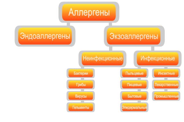 Аллергия