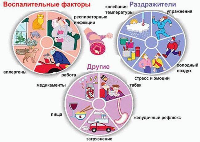 Диета при бронхиальной астме у детей и взрослых