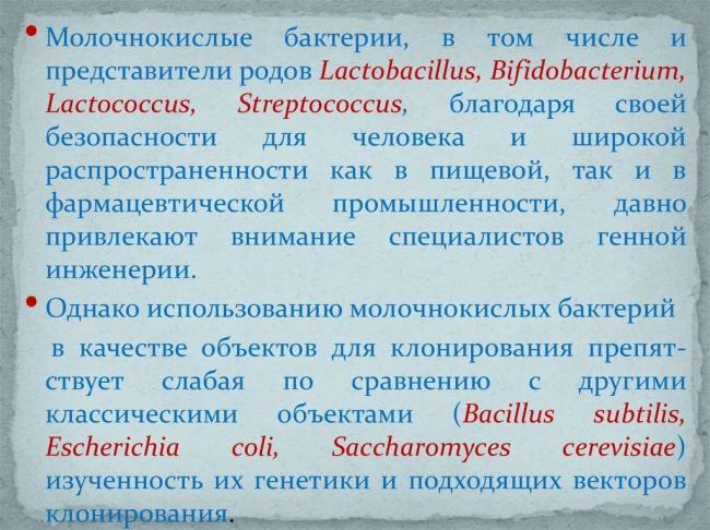 Полезные микроорганизмы – бифидобактерии