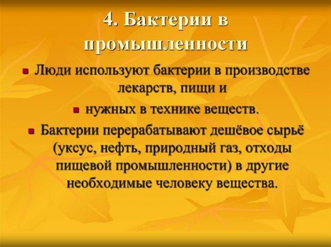 Как приготовить полезный йогурт с пробиотиками в домашних условиях?