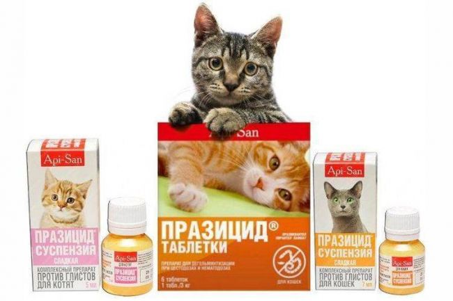 Цистофан для кошек инструкция по применению