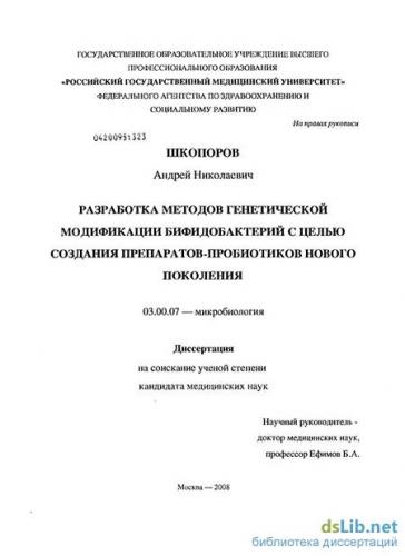 Как восстановить бифидобактерии в кишечнике