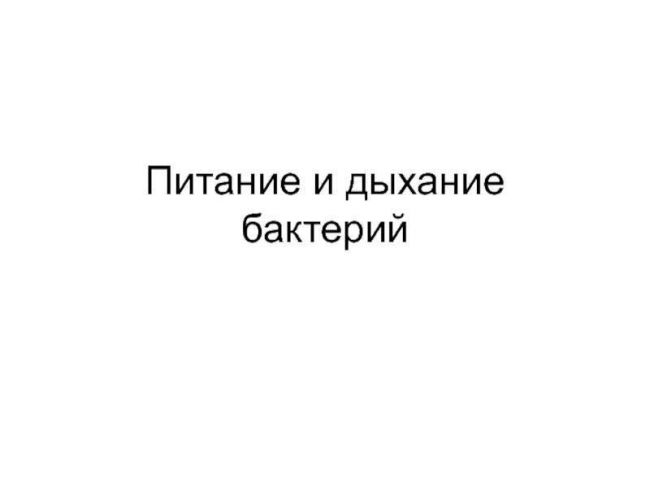 Микробиология дома: выращиваем полезные бактерии