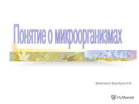 Полезные бактерии для человека – откуда они берутся и как наладить баланс микрофлоры в организме?