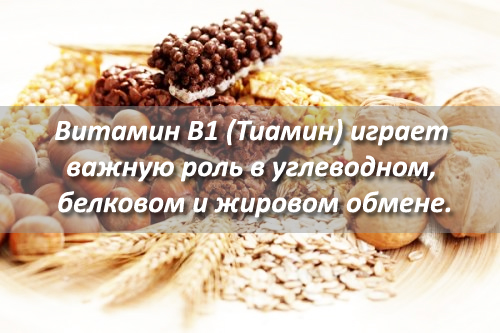 Тиамин (витамин b1)