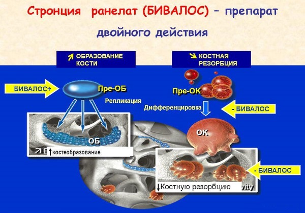 Бивалос: инструкция по применению