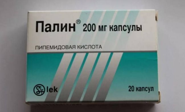 Палин: инструкция по применению, цена, заменители, отзывы