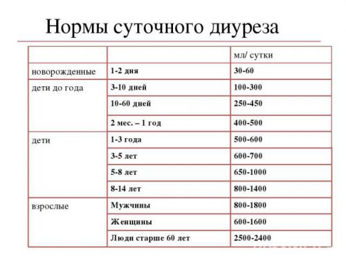 Диурез норма почасовой