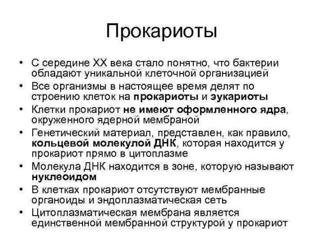 Внешняя бактериальная мембрана