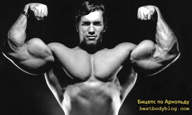 Диета арнольда шварценеггера