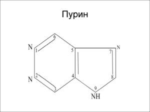 Низкопуриновая диета что это. гипопуриновая диета - разрешенные и запрещенные продукты, примерное меню на неделю