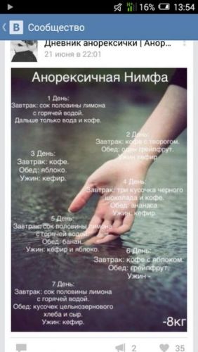 Диета анорексичная нимфа: отзывы и результаты