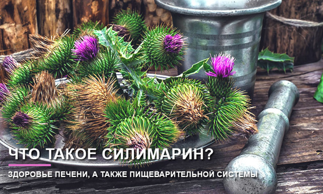 Силимарин гексал