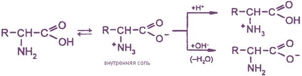 Глава 12. α-аминокислоты, пептиды и белки