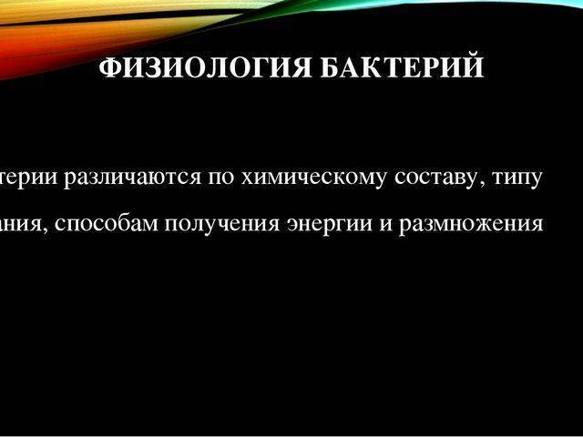 Бактерии