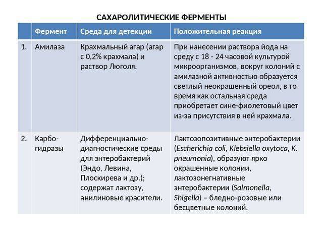 Методы как инструменты изучения бактерий их основных свойств