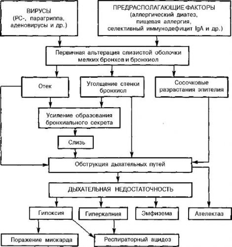 Особенности бронхита у детей: причины, симптомы, течение, методы лечения