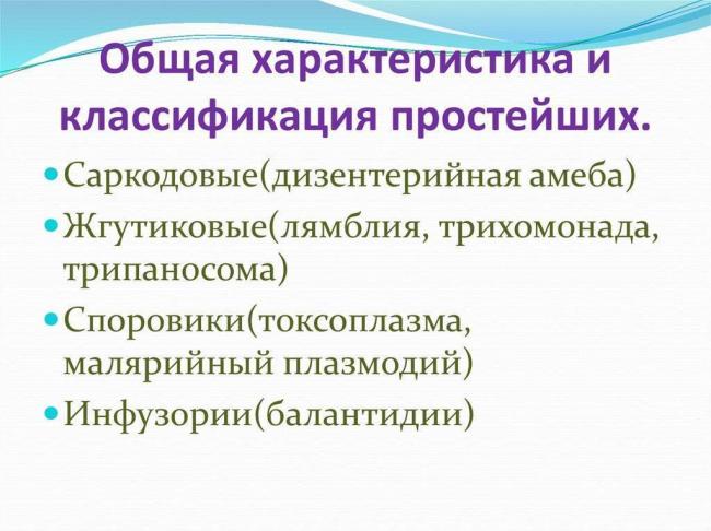 Разнообразие живого
