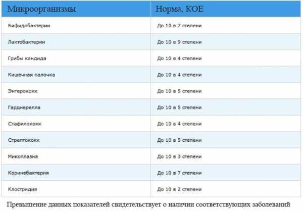 Кокковая флора (кокки) в мазке у женщин: причины, симптомы, лечение, препараты